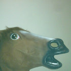 bunrise thumbnail