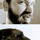 Adam thumbnail