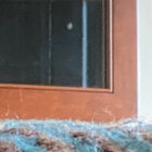 W.D.Garton thumbnail