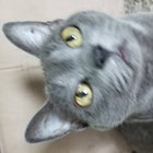 Miguel Ángel Espinel thumbnail