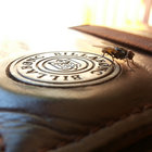 Morph thumbnail