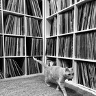 benselectrecords thumbnail