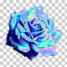 rosetinted thumbnail