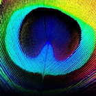 Carousel thumbnail
