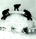 Inuit Adieu image