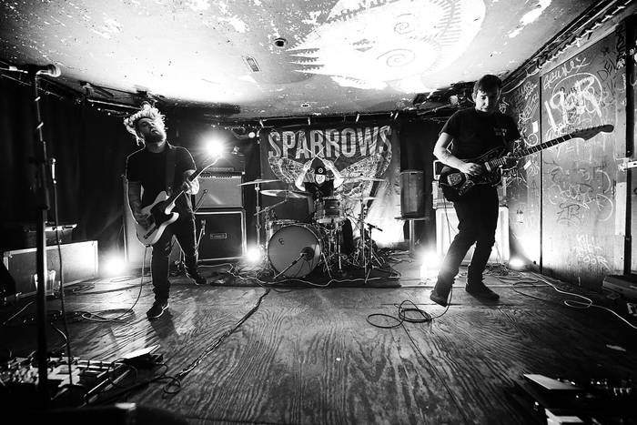 Death Crown | Sparrows