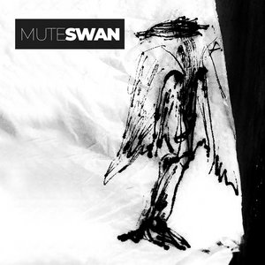 MuteSwan