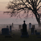 gothic_albany thumbnail