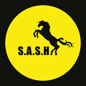 S.A.S.H