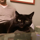 mistergladstone67 thumbnail