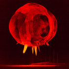 葡LP Guilherme Lamounier Guilherme Lamounier: Red Vinyl MAR037REDVINYL Mad About Records 未開封 /00260 Guilherme Lamounier - 