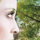 The Golden Glow thumbnail