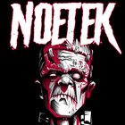noetek thumbnail