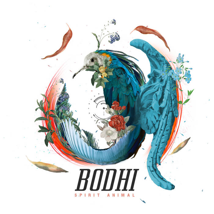 Music | BODHI