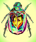 Golden Scarab Records image