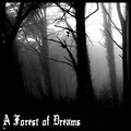 A Forest of Dreams image