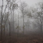 Sanctuary. thumbnail