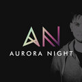 Aurora Night image