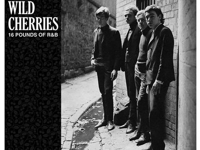 THE WILD CHERRIES-16 Pound Of R&b LP main photo