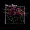 Sleep Kick image