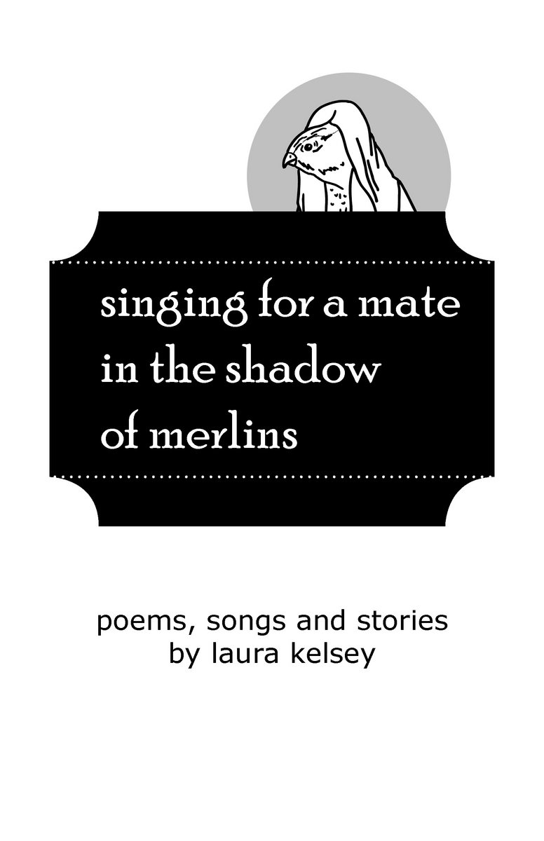 Merlins Shadow