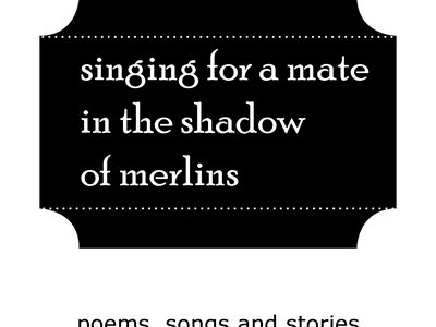 singing for a mate in the shadow of merlins main photo