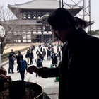 howtoeatsun thumbnail