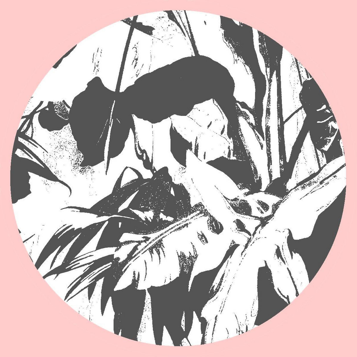 Private Lesson - S/T | Magic Touch