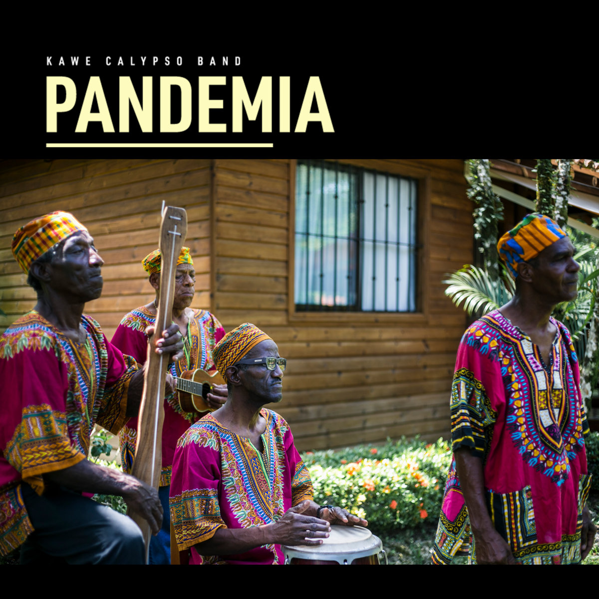 pandemia kawe calypso pandemia kawe calypso