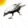 Skinny Crow image
