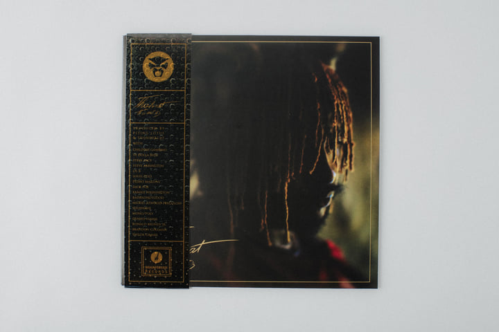 It Is What It Is | Thundercat