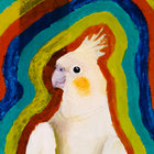 it's birb thumbnail