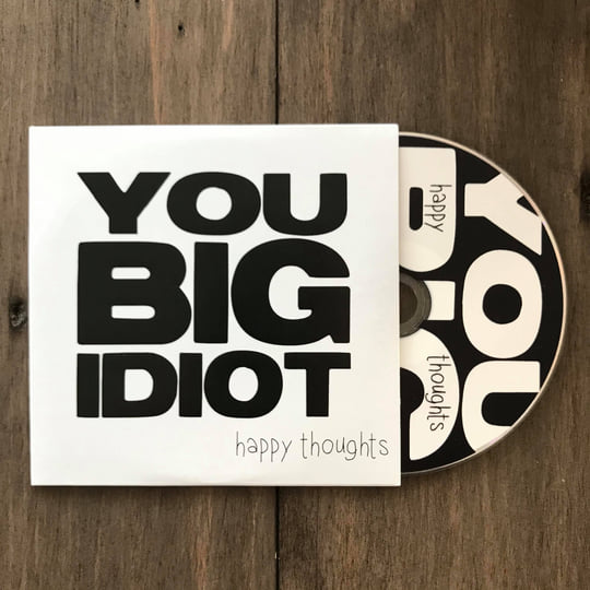 You Big Idiot Discography