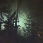 depressedbirds76 thumbnail