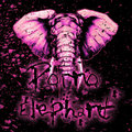 Porno Elephant image
