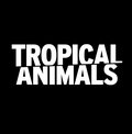 Tropical Animals image