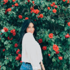 Areen thumbnail