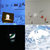 moonlit-caviar thumbnail