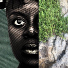 kinfolkz thumbnail
