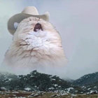 Ty Johnston thumbnail