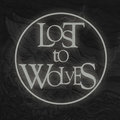 Lost To Wolves image