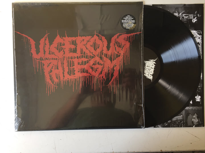 ULCEROUS PHLEGM【レコード】デスメタル ゴアグラインド ULCEROUS PHLEGM【カセットテープ】デスメタル グラインドコア - メルカリ