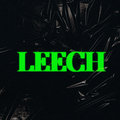 Fleshdriver photo