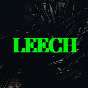 Fleshdriver — Photo