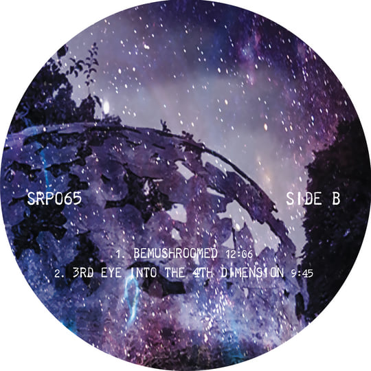 Dr Space's Alien Planet Trip Vol 4- Space with Bass | Dr Space