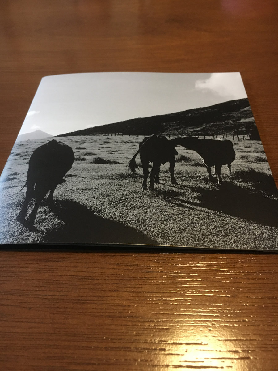 Void XX | Chihei Hatakeyama | White Paddy Mountain