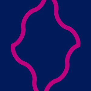 Cover of Fissura