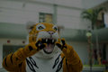 Wild Tiger image