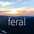 feral thumbnail
