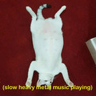 Alex thumbnail